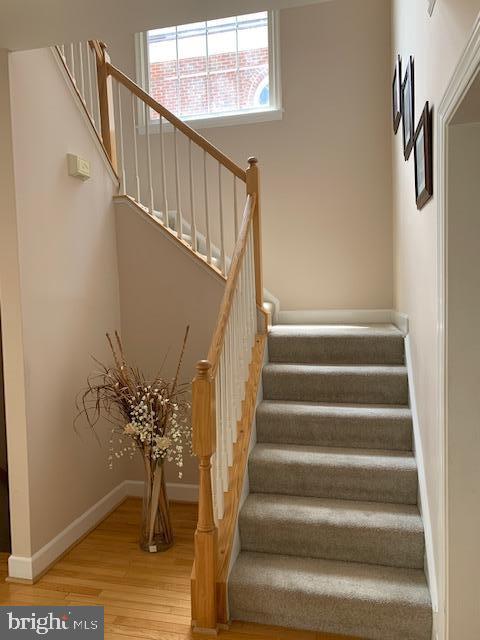 8435 Bells Ridge Terrace Potomac, MD 20854 - Photo 20 of 24