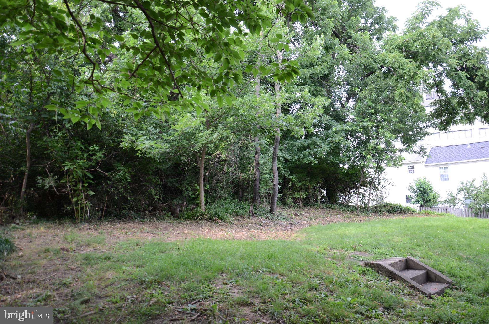 2713 24th Road South, Unit A & B Arlington, VA 22206 - Photo 33 of 64