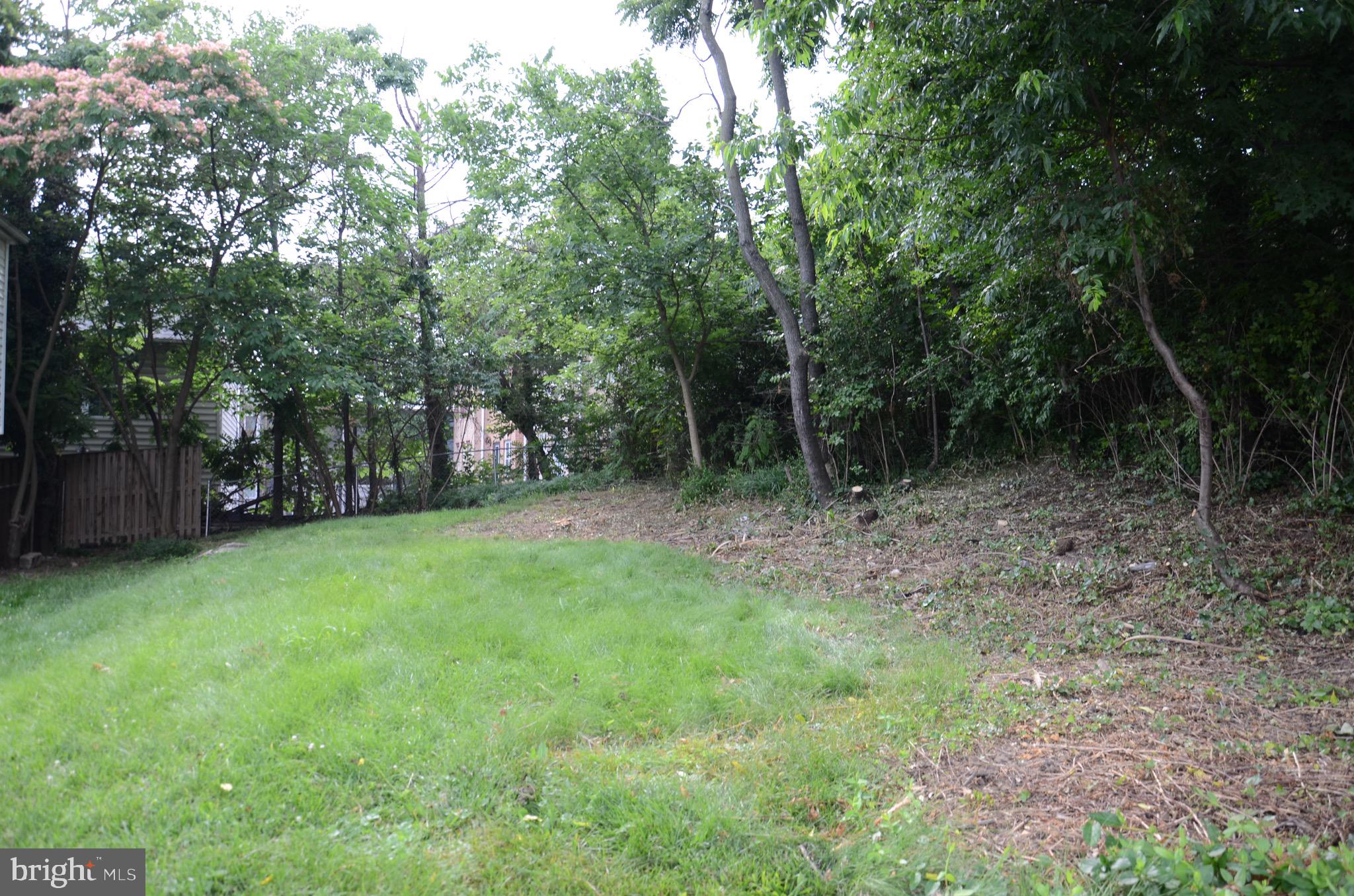 2713 24th Road South, Unit A & B Arlington, VA 22206 - Photo 34 of 64