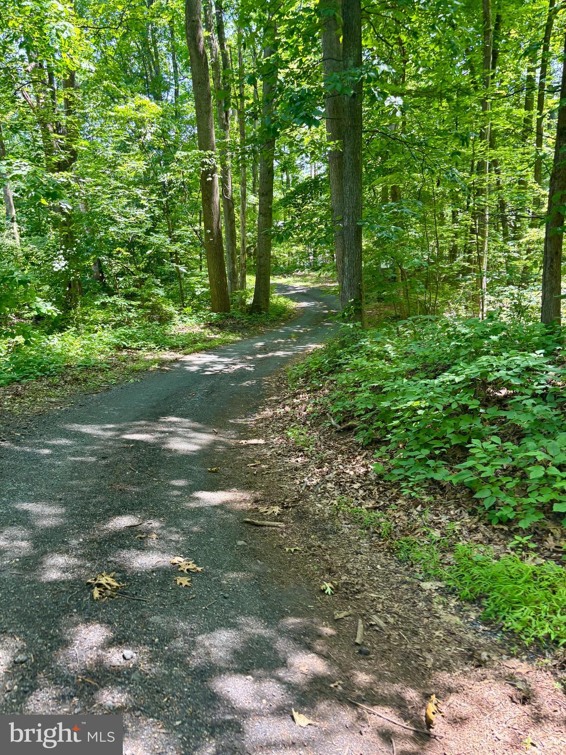 Tower Road Mertztown, PA 19539 - Photo 2 of 15