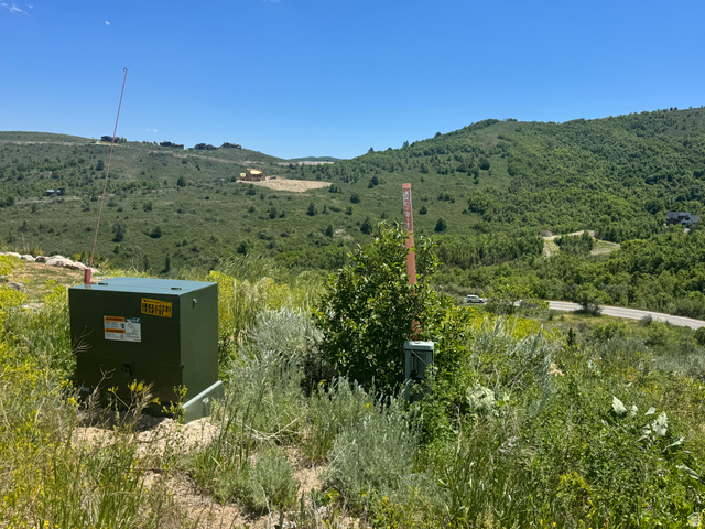 6000 Old Snow Basin Road Huntsville, UT 84317 - Photo 5 of 14