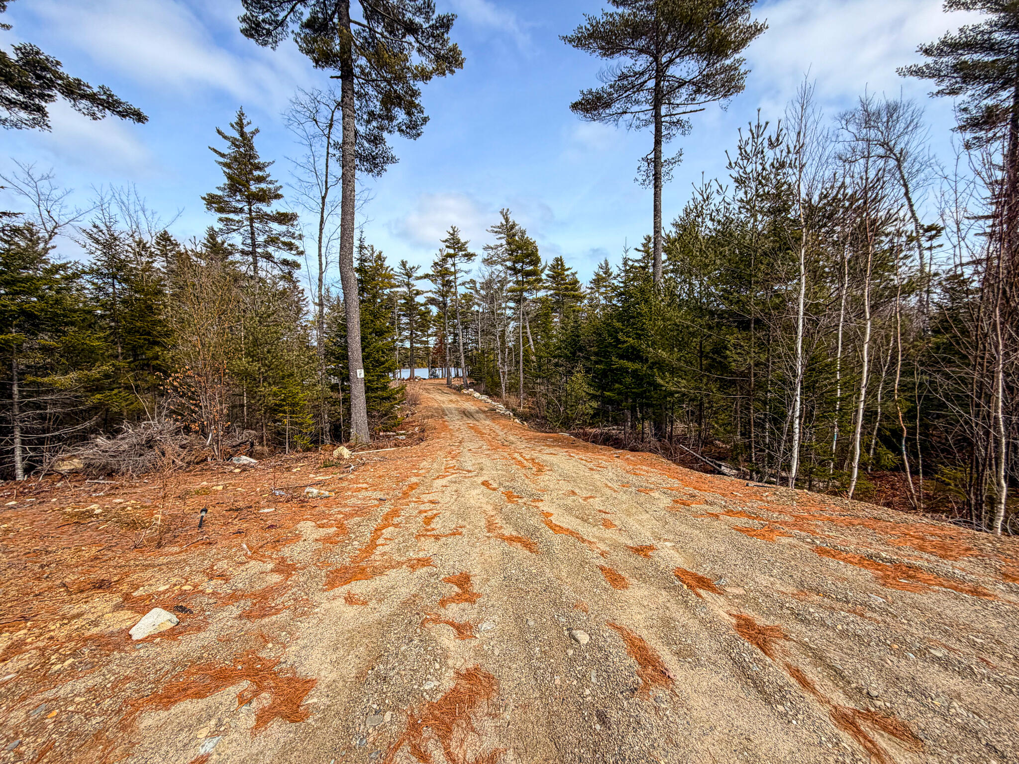 16 Center Road Cooper, ME 04657 - Photo 8 of 19 CenterRdCooper-10
