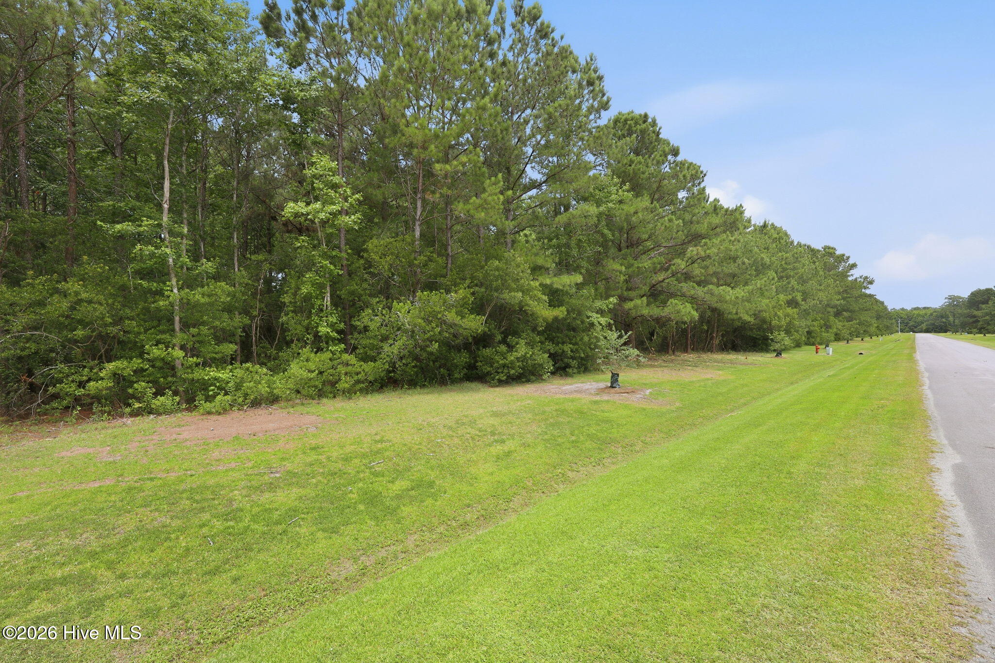 240 Silver Acres Road Merritt, NC 28556 - Photo 8 of 20