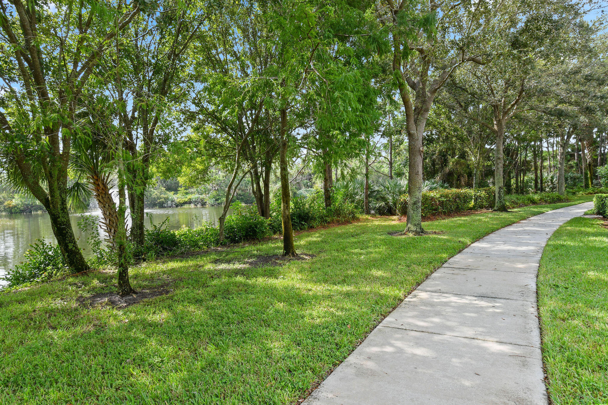 147 Killarney Court Jupiter, FL 33458 - Photo 65 of 68 a view of a park with large trees