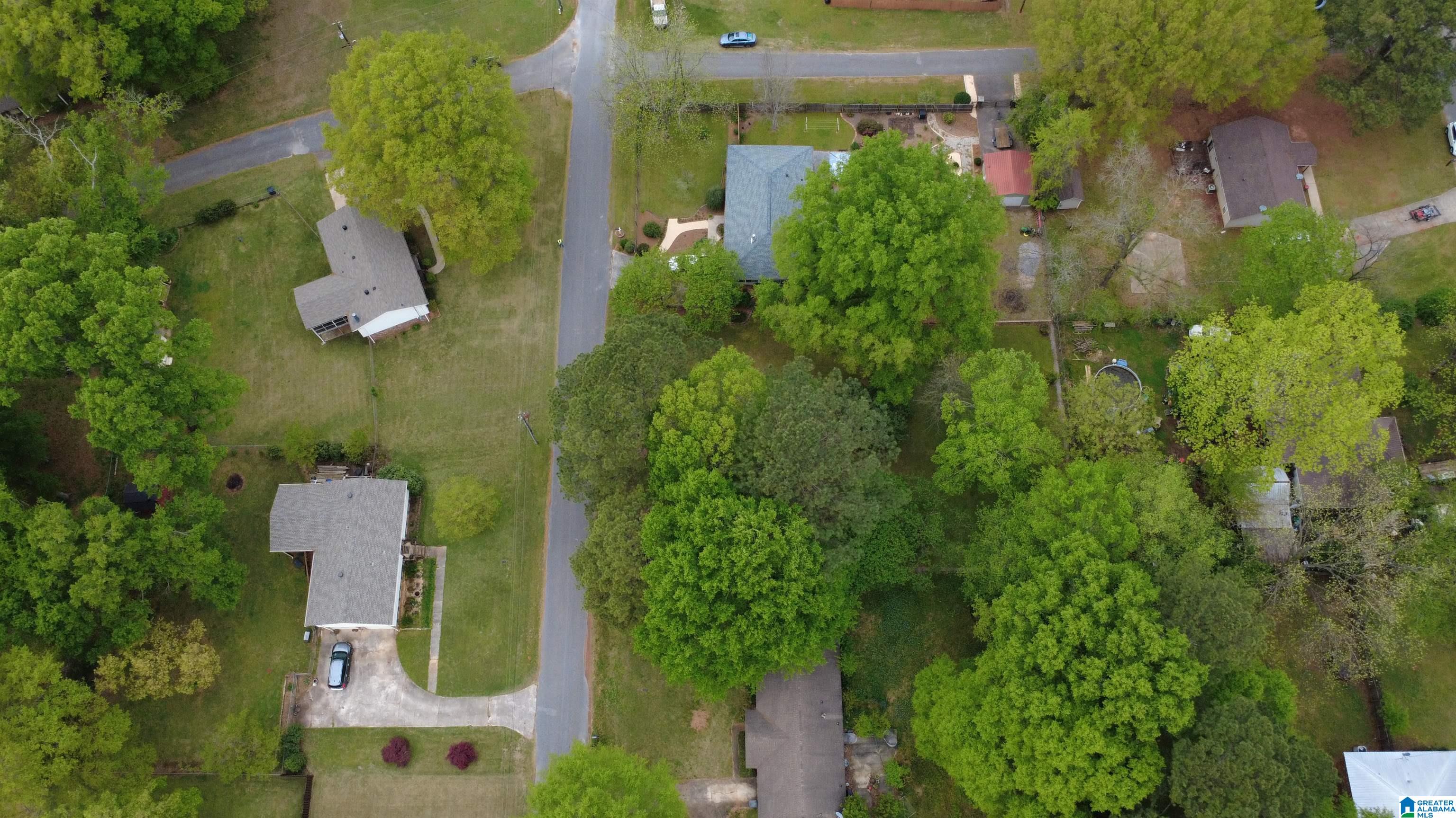 0 Strother Street Montevallo, AL 35115 - Photo 9 of 25
