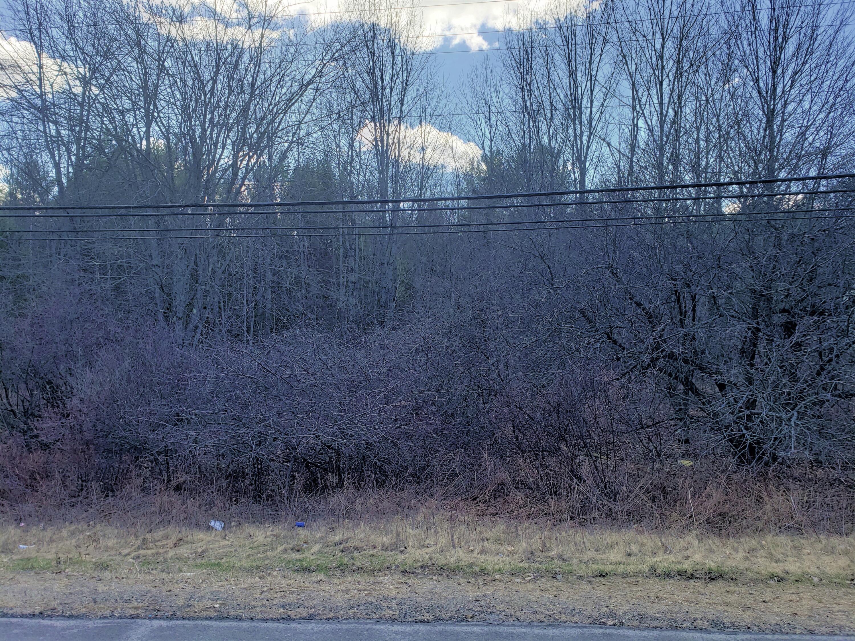 Lot 41-cdef Lot 41-cdef China Road Winslow, ME 04901 - Photo 8 of 17 41-D 3