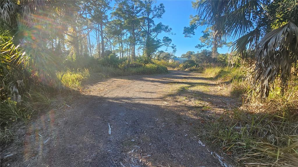 1253 Casper Street Port Charlotte, FL 33953 - Photo 11 of 13 a view of back yard of the house
