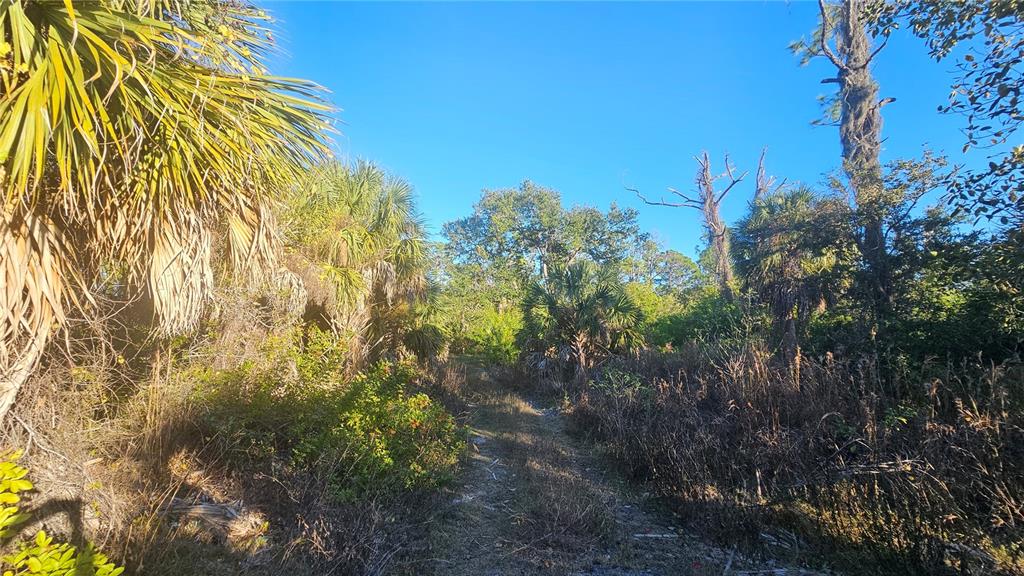 1253 Casper Street Port Charlotte, FL 33953 - Photo 13 of 13 a view of a building