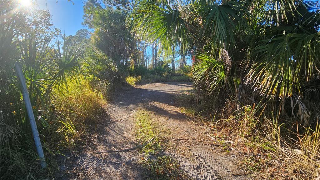 1253 Casper Street Port Charlotte, FL 33953 - Photo 5 of 13 a view of a yard with plants