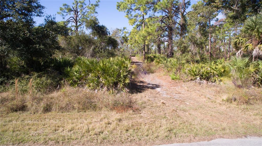 1253 Casper Street Port Charlotte, FL 33953 - Photo 8 of 13 a view of a yard with plants and trees