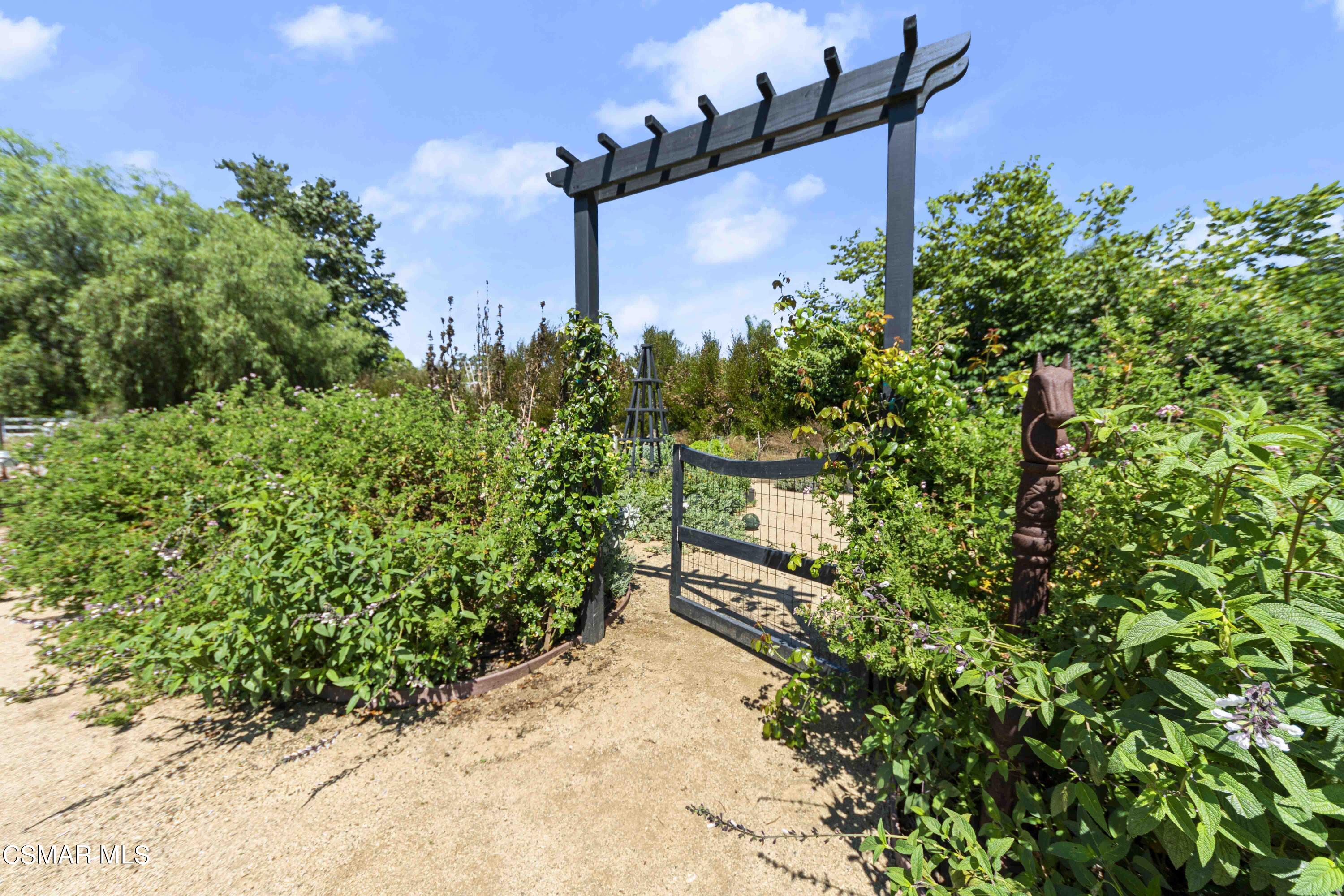 2382 Duval Road Camarillo, CA 93012 - Photo 64 of 85 DSC07200