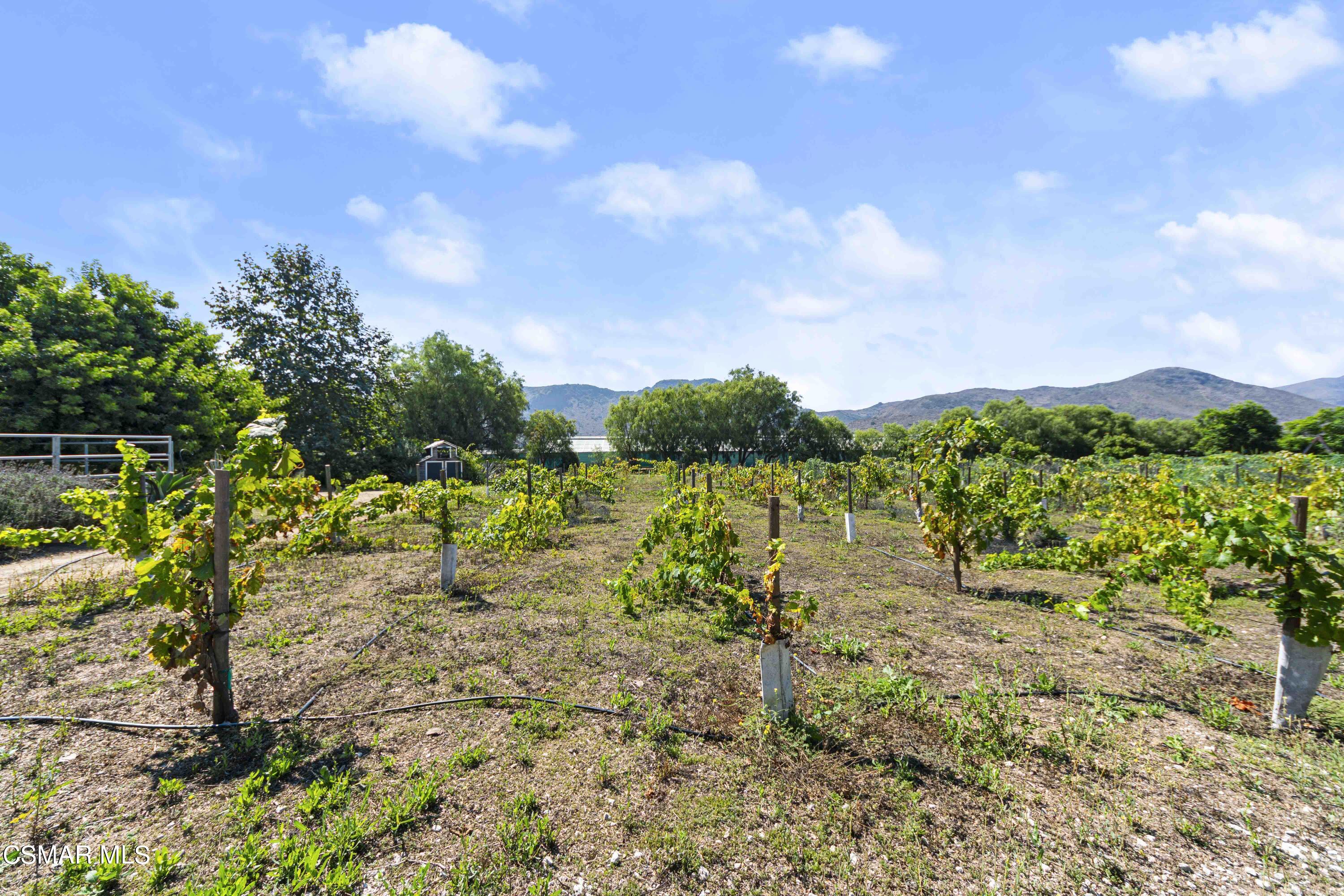 2382 Duval Road Camarillo, CA 93012 - Photo 67 of 85 DSC07119