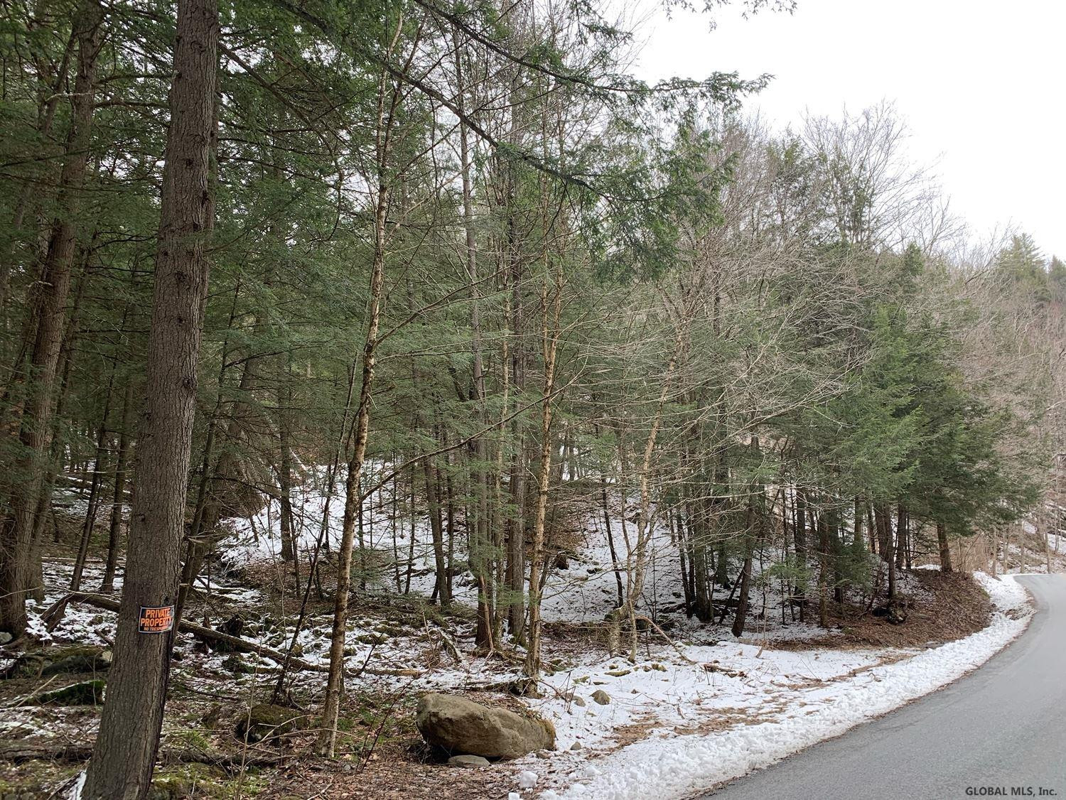 0 Dill Brook Road Petersburgh, NY 12138 - Photo 1 of 13 Photo 1