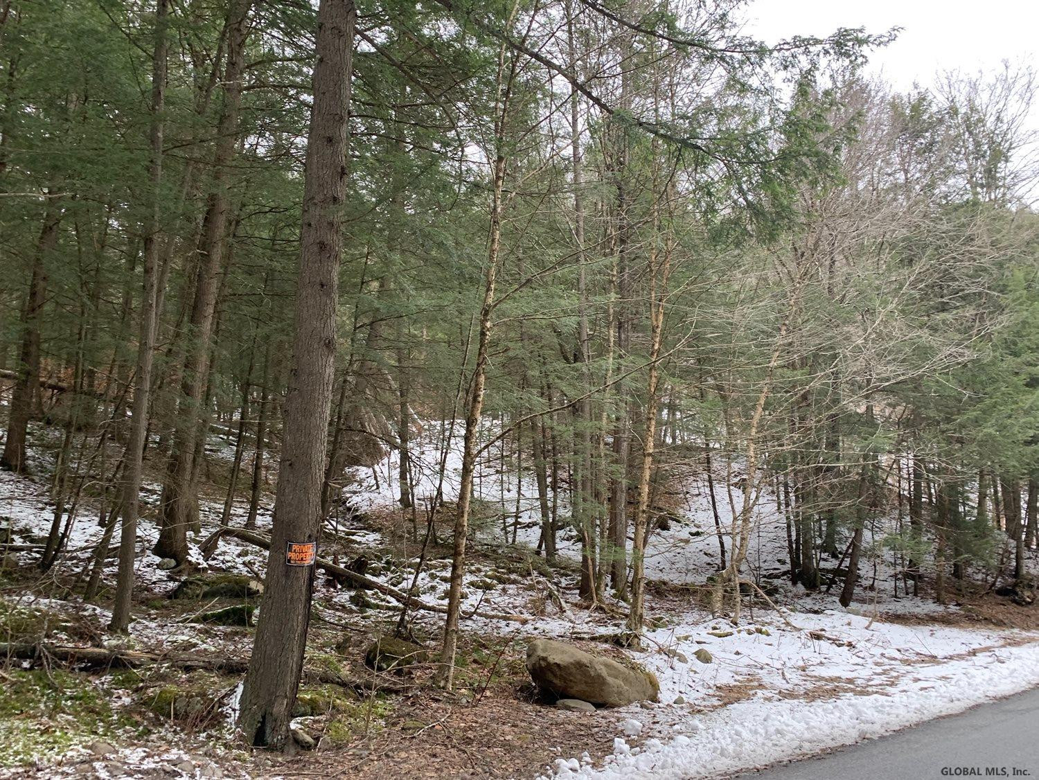 0 Dill Brook Road Petersburgh, NY 12138 - Photo 11 of 13 Photo 11