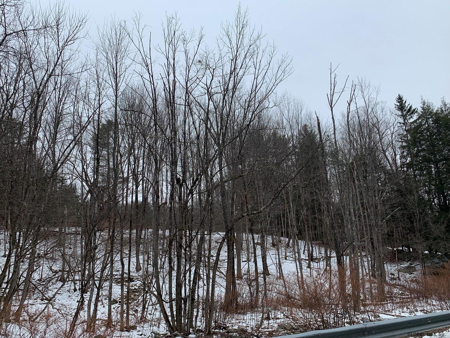 0 Dill Brook Road Petersburgh, NY 12138 - Photo 8 of 13 Photo 8