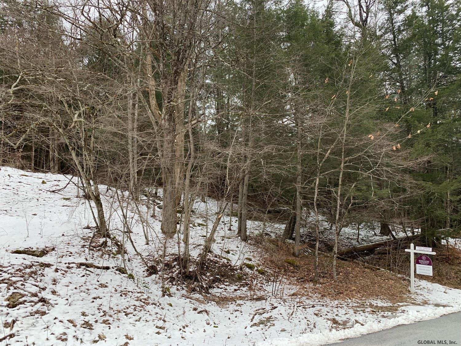 0 Dill Brook Road Petersburgh, NY 12138 - Photo 9 of 13 Photo 9