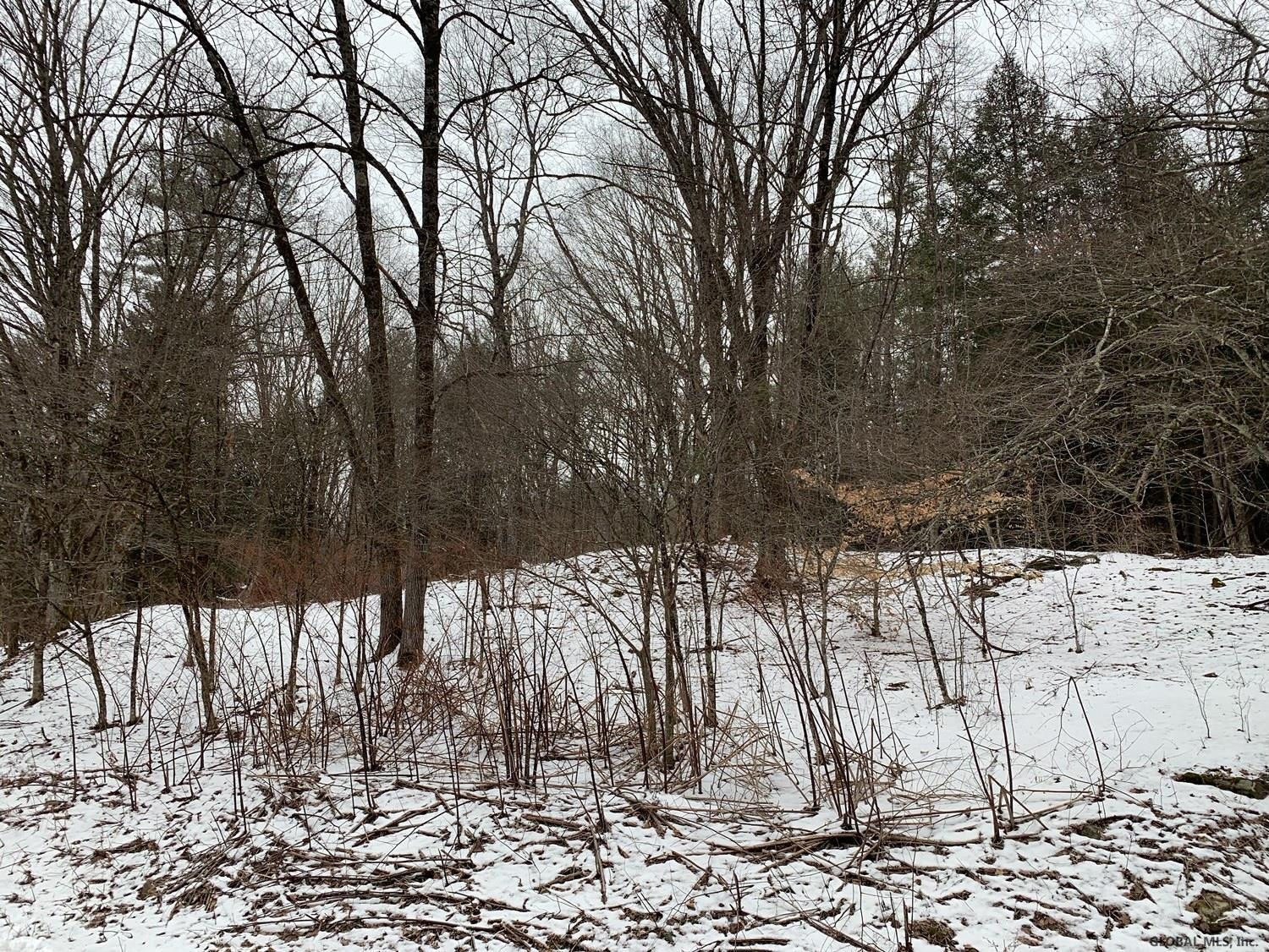 0 Dill Brook Road Petersburgh, NY 12138 - Photo 10 of 13 Photo 10