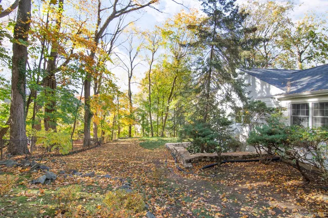 a view of backyard with large trees