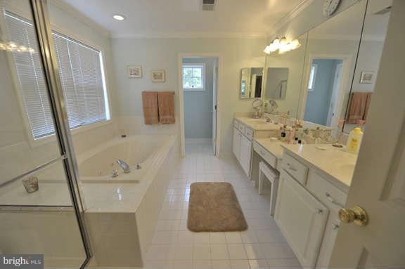 8192 Pohick Stream Place Springfield, VA 22153 - Photo 17 of 29 Bath (Master)