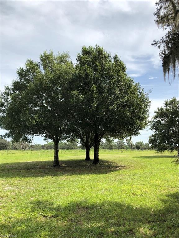 775 Blueberry Road Sebring, FL 33872 - Photo 2 of 4 Gallery Image 2