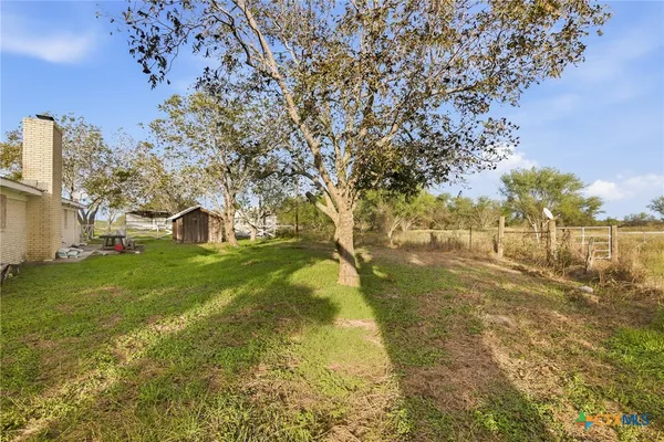 a view of a yard with a tree