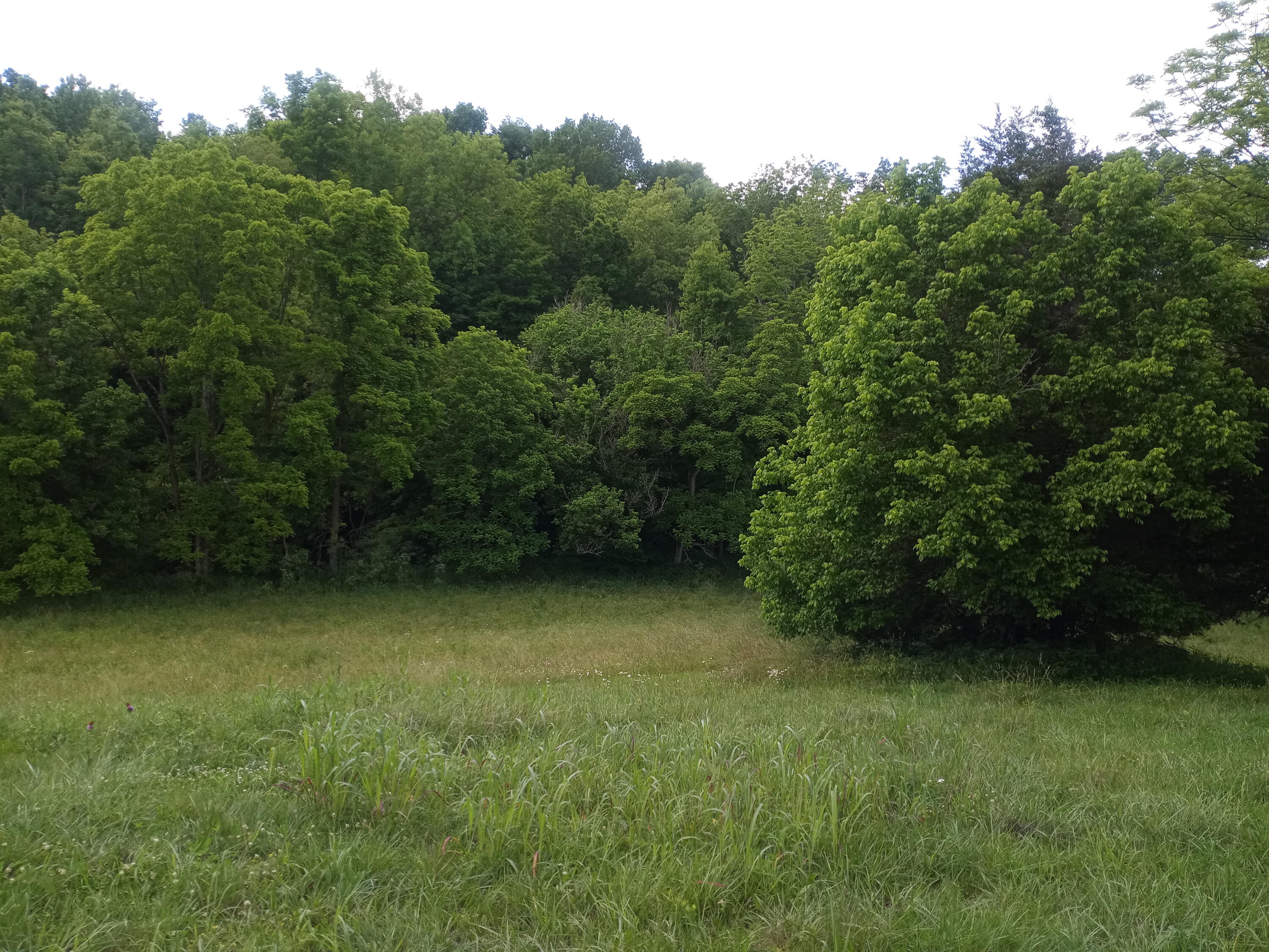 248 Mt Eden Road Lawrenceburg, KY 40342 - Photo 11 of 25 20210611_131821_17