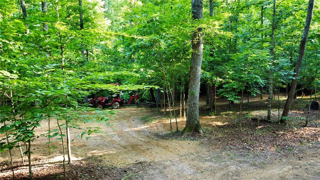 1125 Pecks Road Dahlonega, GA 30533 - Photo 21 of 31