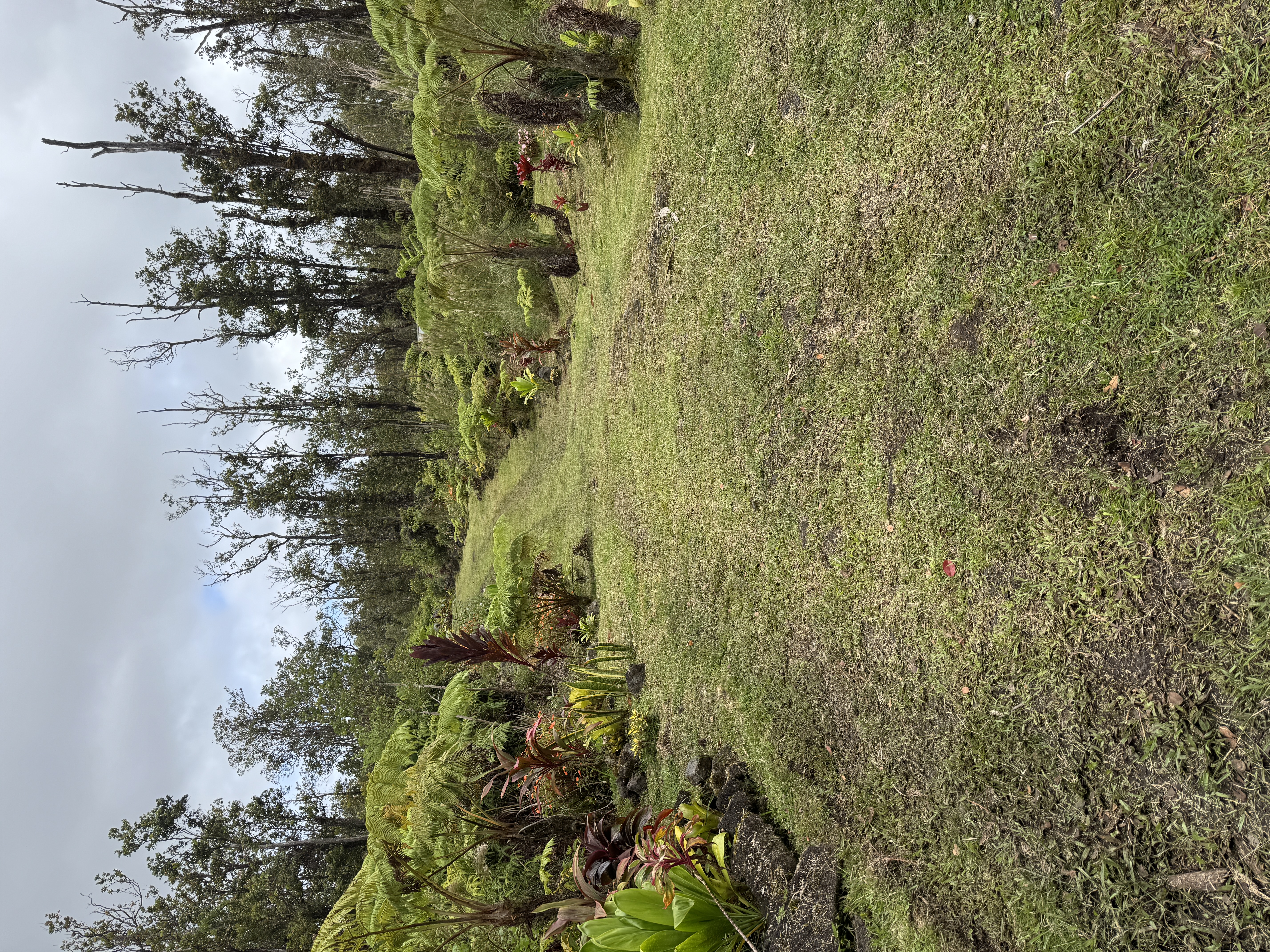 11-2218 Ohialani Road Volcano, HI 96785 - Photo 12 of 24 Gallery Image 12