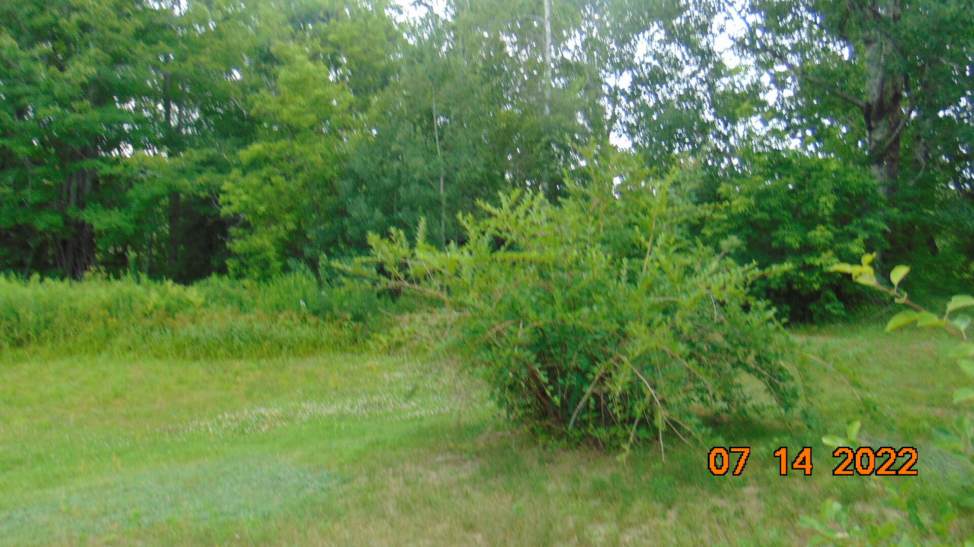 170 Military Road Greenbush, ME 04418 - Photo 8 of 25 DSC04143