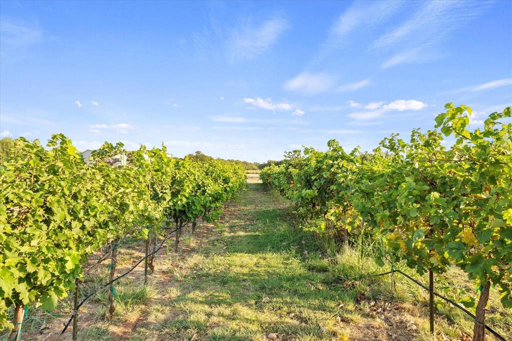 3399 Peterson Road South Iowa Park, TX 76367 - Photo 2 of 40 a view of a lake with a building in background
