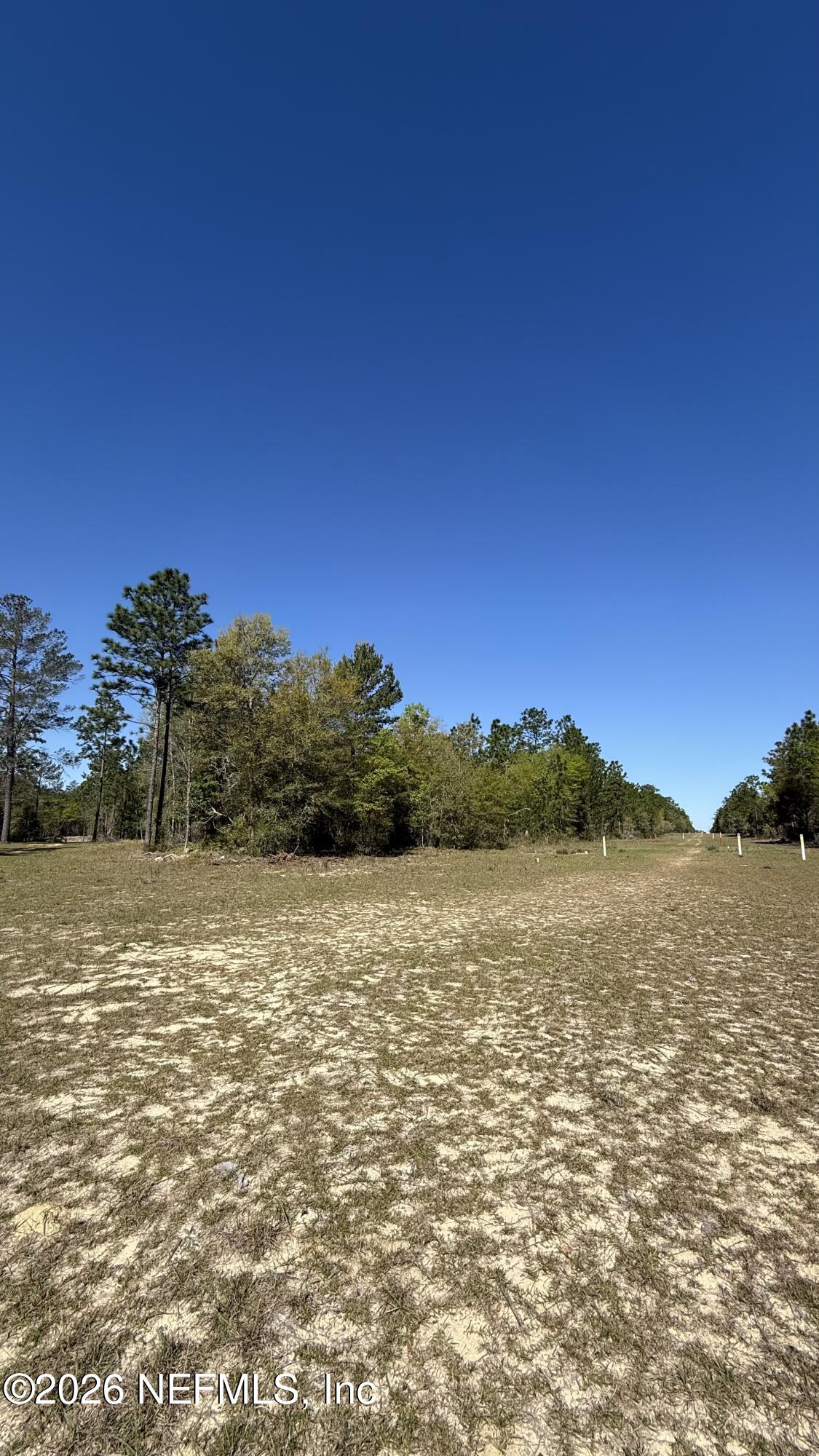 0 Mulberry Street Interlachen, FL 32148 - Photo 3 of 7 IMG_2519