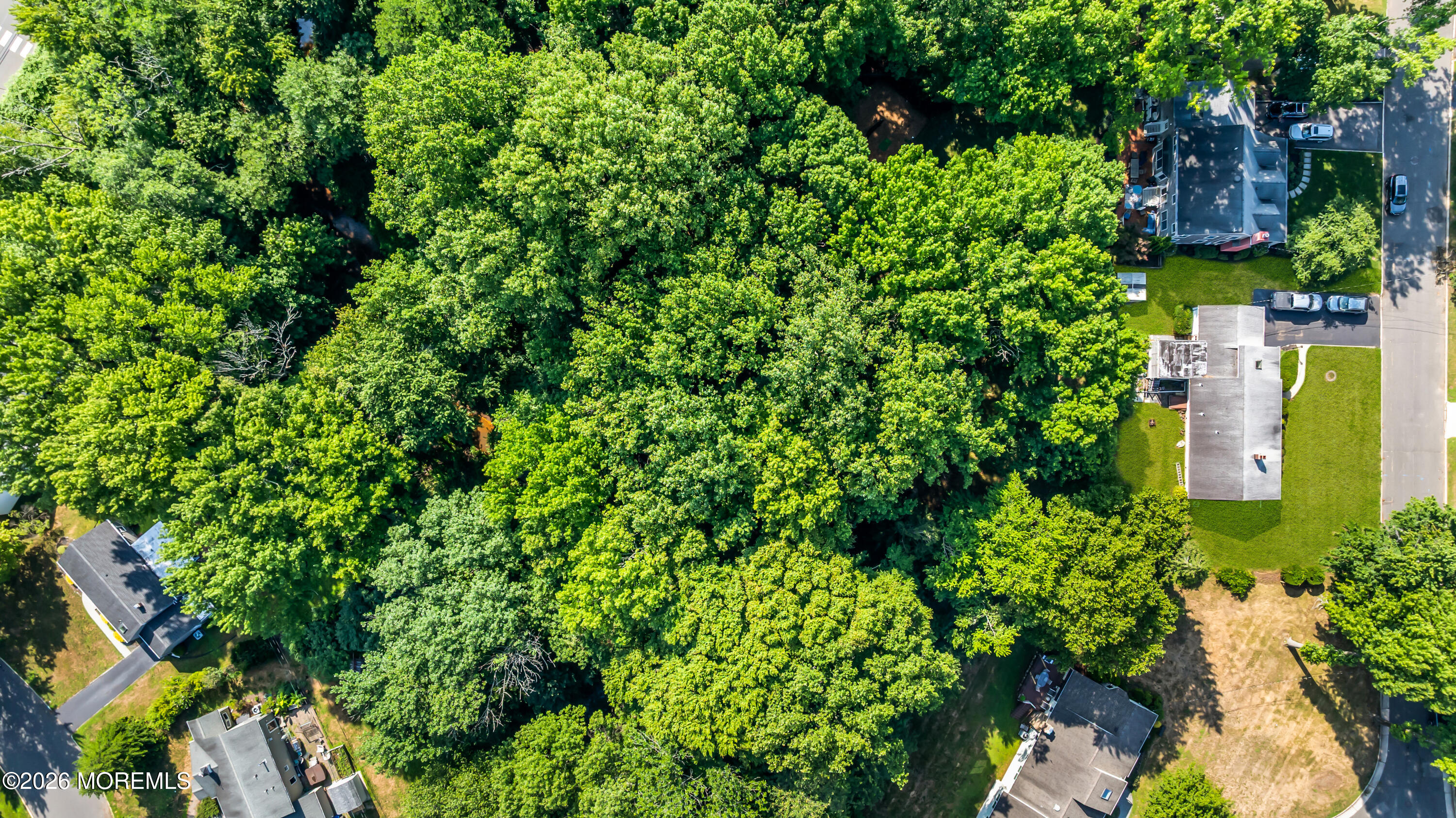 59 Maple Avenue Little Silver, NJ 07739 - Photo 15 of 32 7-print-DJI_20260709092716_0417_D-1