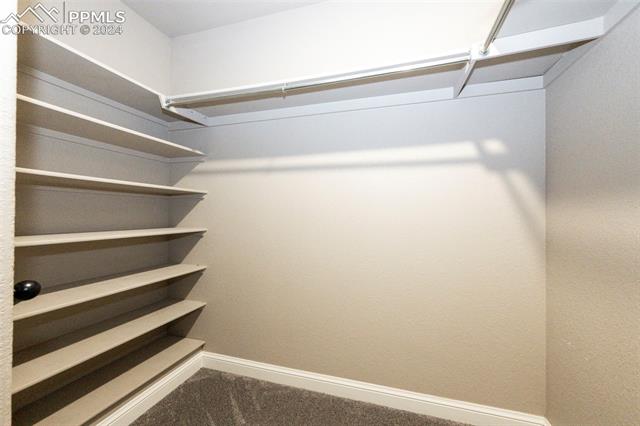 711 Pine Ridge Street Elizabeth, CO 80107 - Photo 24 of 39 Spacious closet with carpet floors