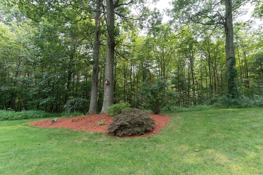 42 Oxbow Road Charlton, MA 01507 - Photo 28 of 42 a view of a grassy field with trees in the background