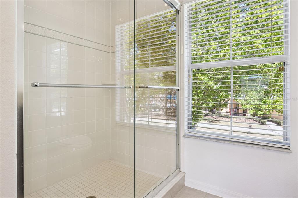 14439 Bluebird Park Road Windermere, FL 34786 - Photo 29 of 63