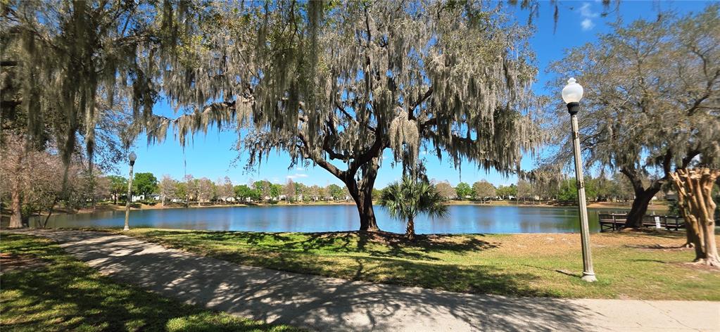 14439 Bluebird Park Road Windermere, FL 34786 - Photo 3 of 63