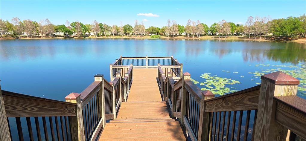 14439 Bluebird Park Road Windermere, FL 34786 - Photo 36 of 63