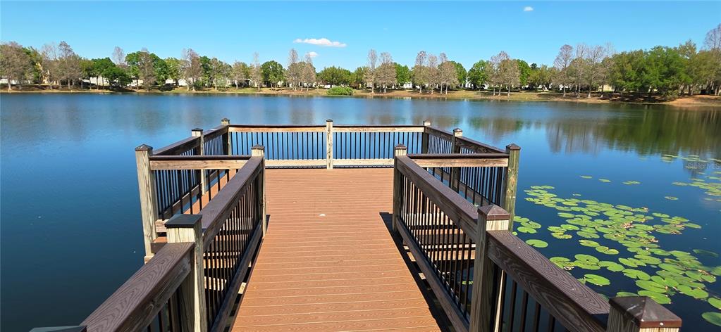 14439 Bluebird Park Road Windermere, FL 34786 - Photo 38 of 63