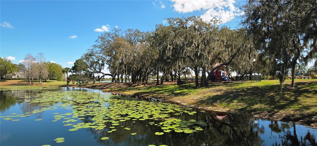 14439 Bluebird Park Road Windermere, FL 34786 - Photo 39 of 63