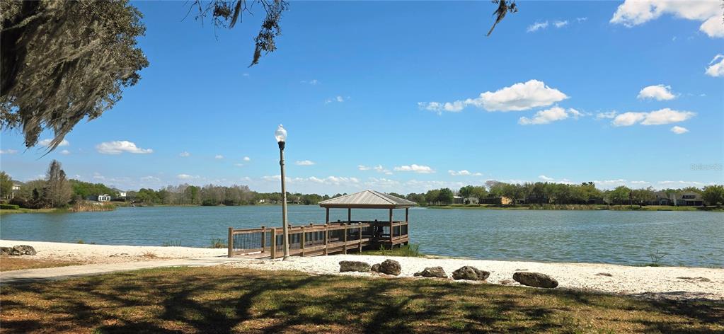 14439 Bluebird Park Road Windermere, FL 34786 - Photo 41 of 63