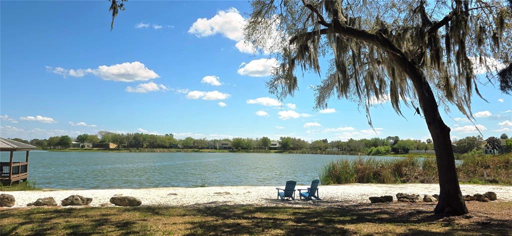 14439 Bluebird Park Road Windermere, FL 34786 - Photo 42 of 63