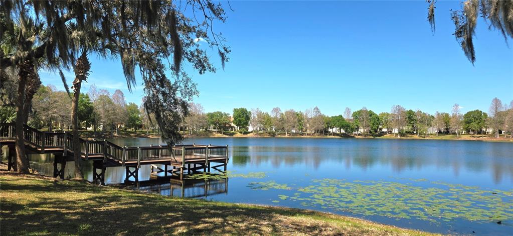 14439 Bluebird Park Road Windermere, FL 34786 - Photo 43 of 63