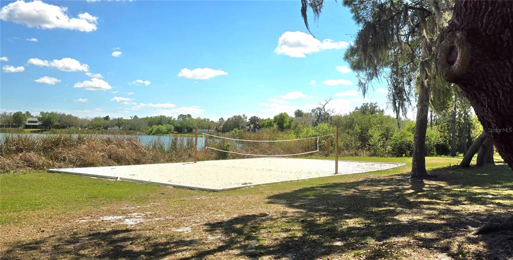 14439 Bluebird Park Road Windermere, FL 34786 - Photo 45 of 63