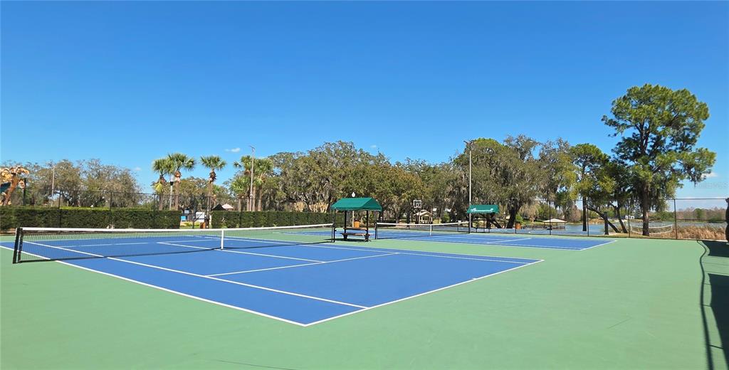 14439 Bluebird Park Road Windermere, FL 34786 - Photo 46 of 63