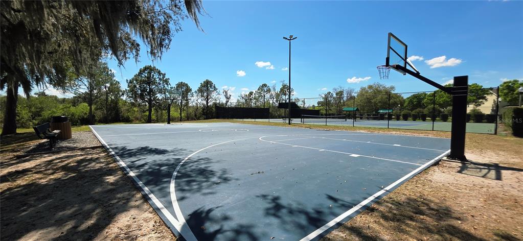 14439 Bluebird Park Road Windermere, FL 34786 - Photo 47 of 63