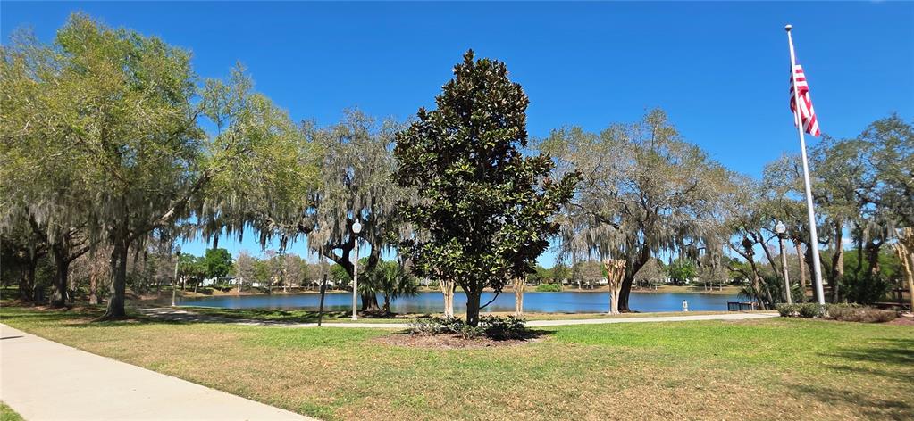 14439 Bluebird Park Road Windermere, FL 34786 - Photo 48 of 63