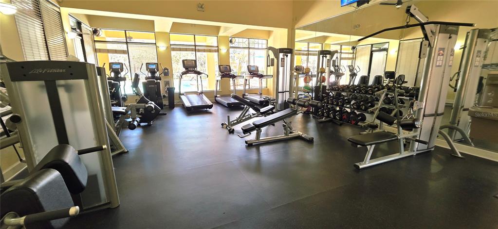 14439 Bluebird Park Road Windermere, FL 34786 - Photo 51 of 63