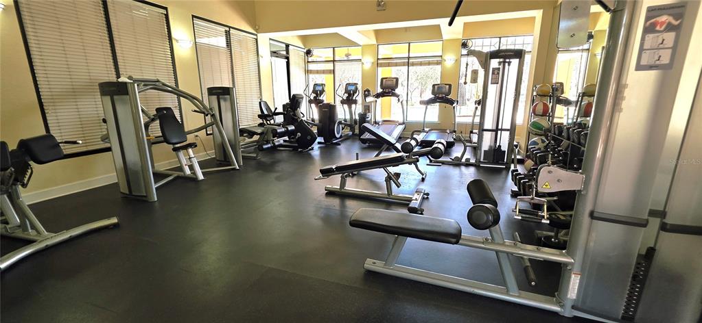 14439 Bluebird Park Road Windermere, FL 34786 - Photo 52 of 63