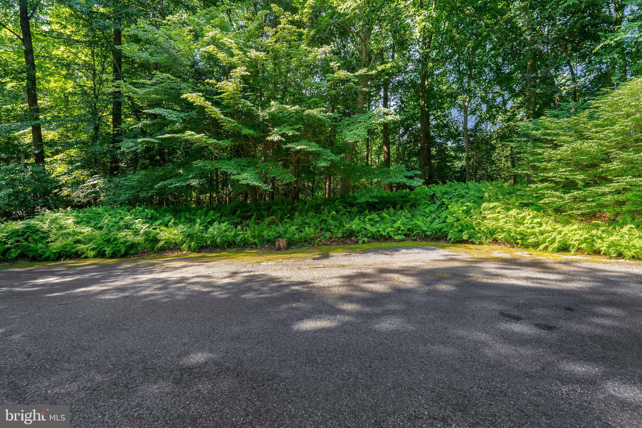 65 Calvary Road Elkton, MD 21921 - Photo 51 of 52