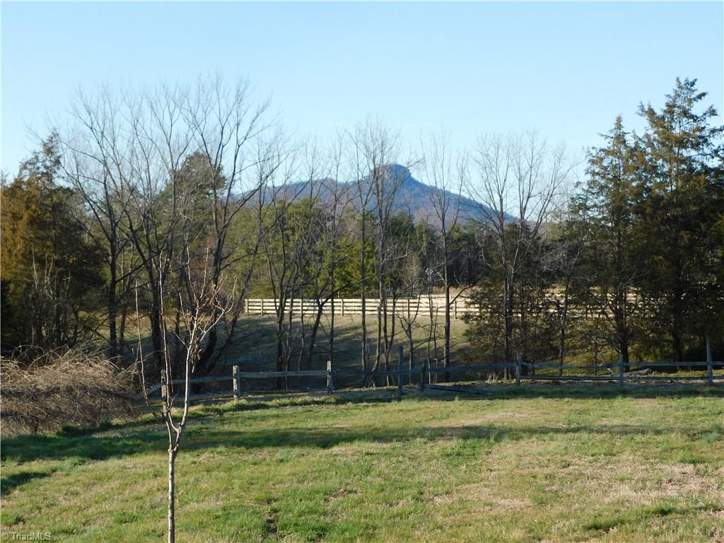 1705 Trinity Church Road Pinnacle, NC 27043 - Photo 2 of 26